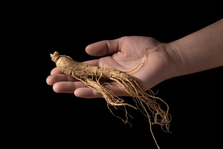 ginseng noir coréen