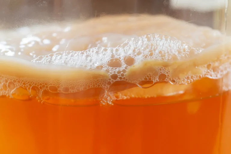 scoby kombucha