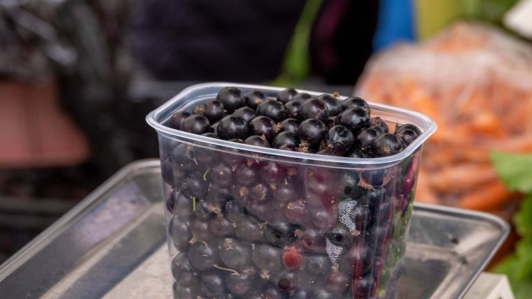 Cassis fruit : goût, saison et idées simples pour l'utiliser